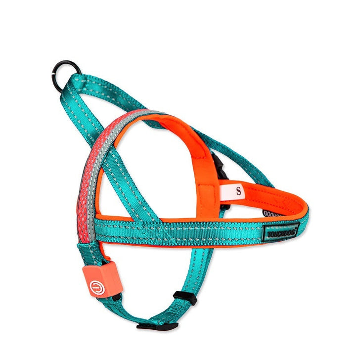 Illuminate Your Walks with Our LED Dog Leash!