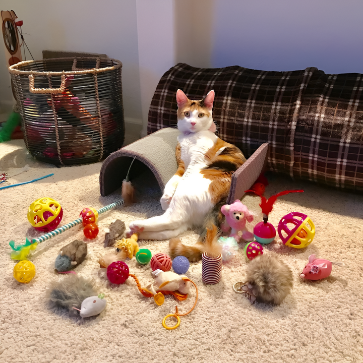 The Best Toys for Happy, Healthy Pets