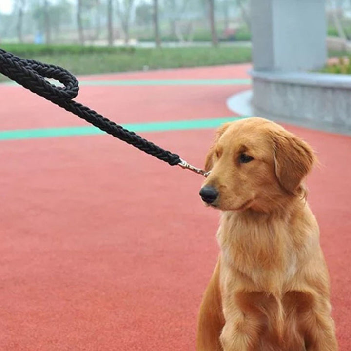 Eight-strand Alaska walking dog leash