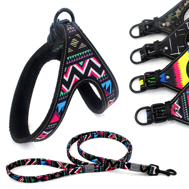 Colorful Dog Leash Dog Walking Rope