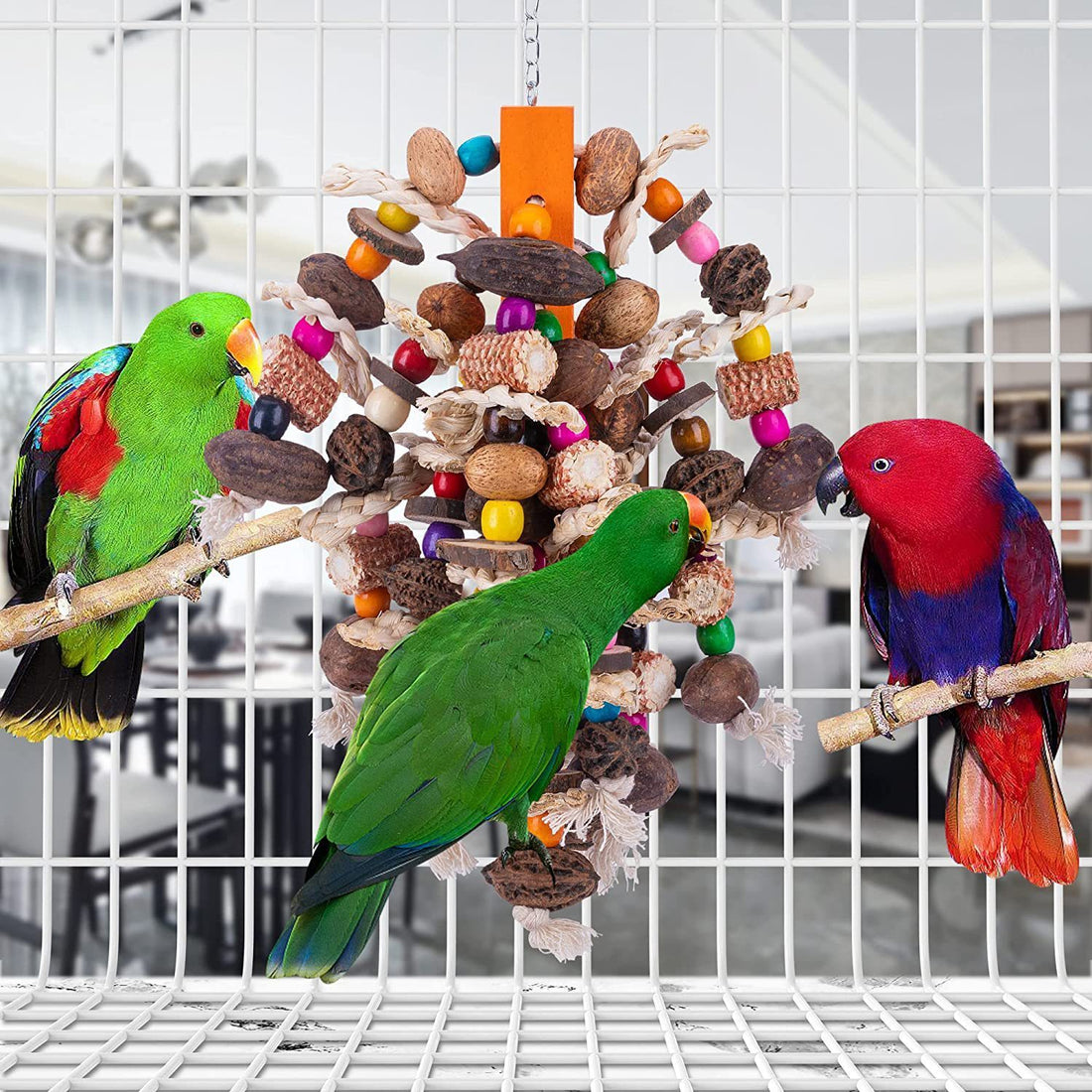 Parrots Nibbling On Toy Fruit Skewers