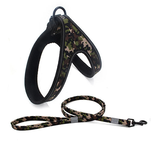 Colorful Dog Leash Dog Walking Rope