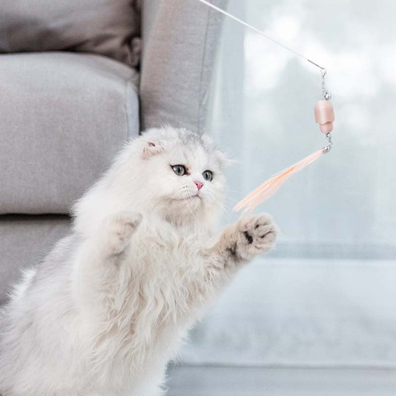 Cat Toy Laser Feather Funny Stick