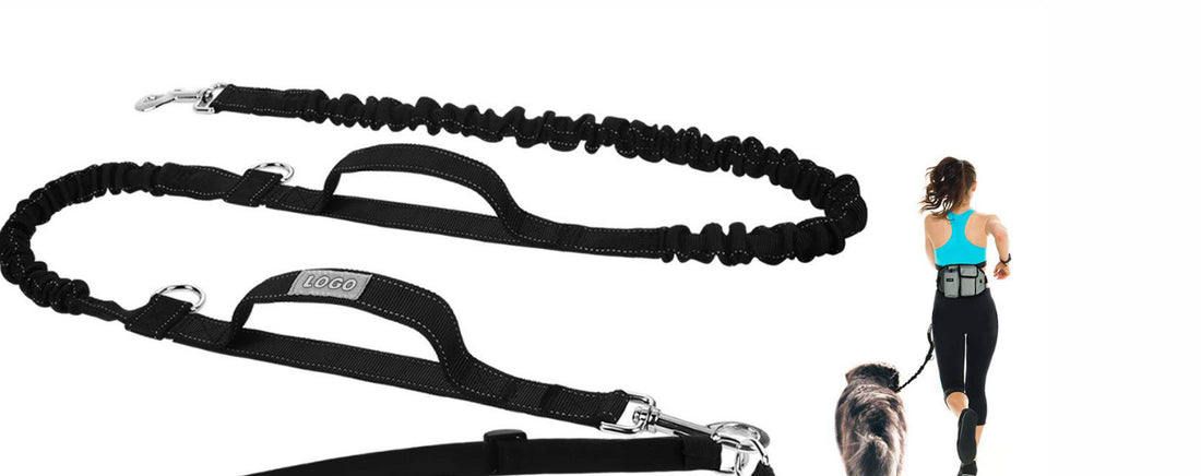 Dog Training Leash Waist Bag