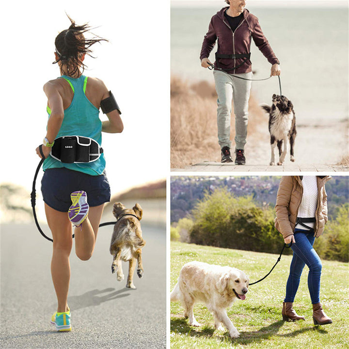 Dog Training Leash Waist Bag