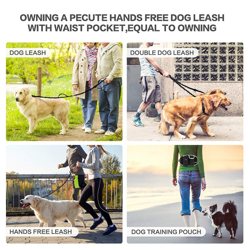 Dog Training Leash Waist Bag