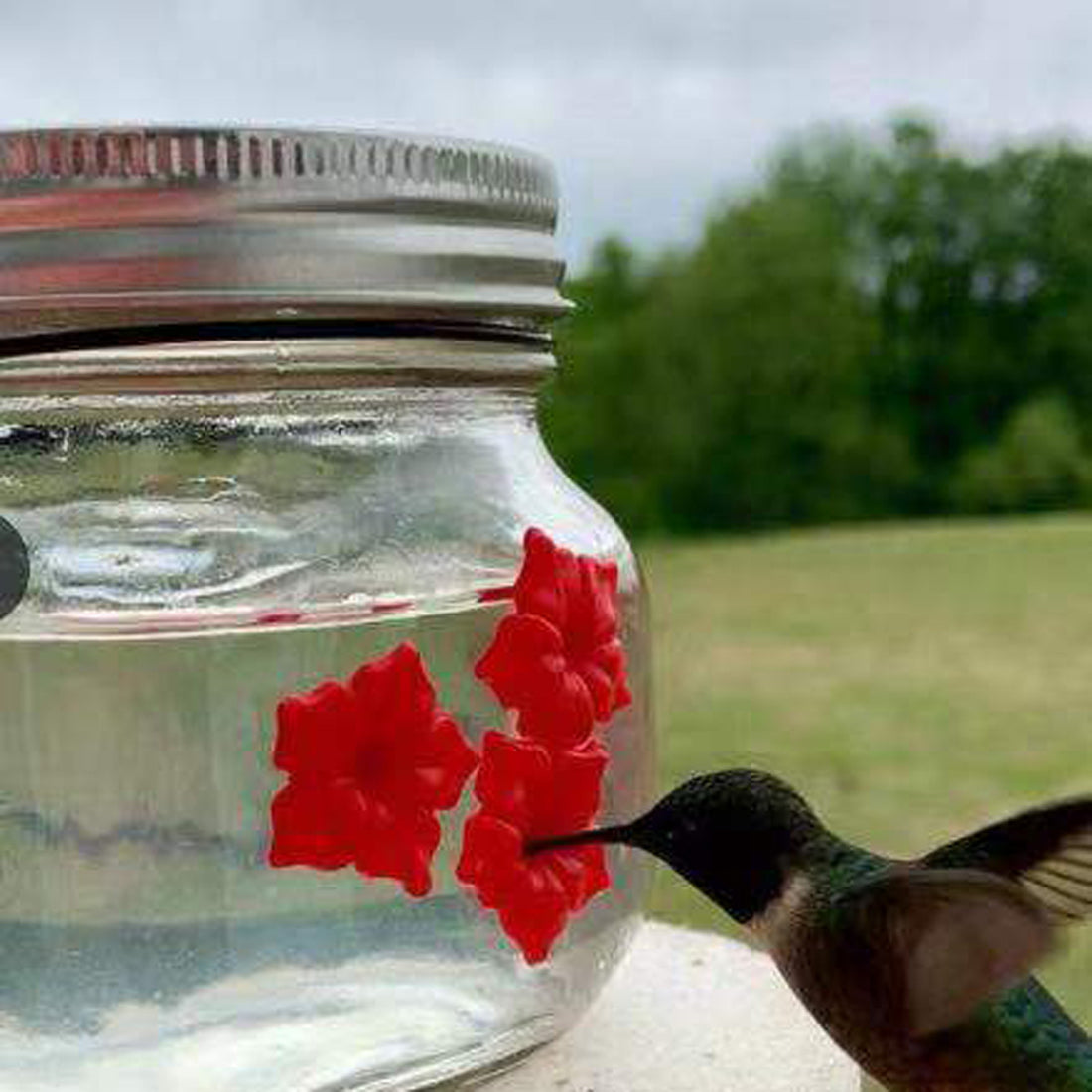Hummingbird Plastic Flower Bird Feeder