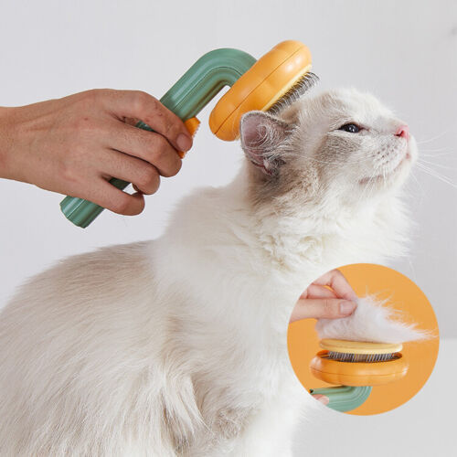 Pet Pumpkin Brush Grooming Self Cleaning Brush