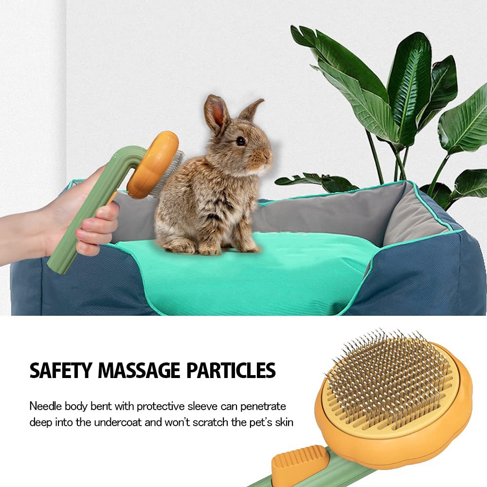 Pet Pumpkin Brush Grooming Self Cleaning Brush