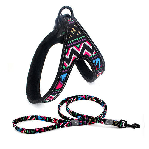 Colorful Dog Leash Dog Walking Rope