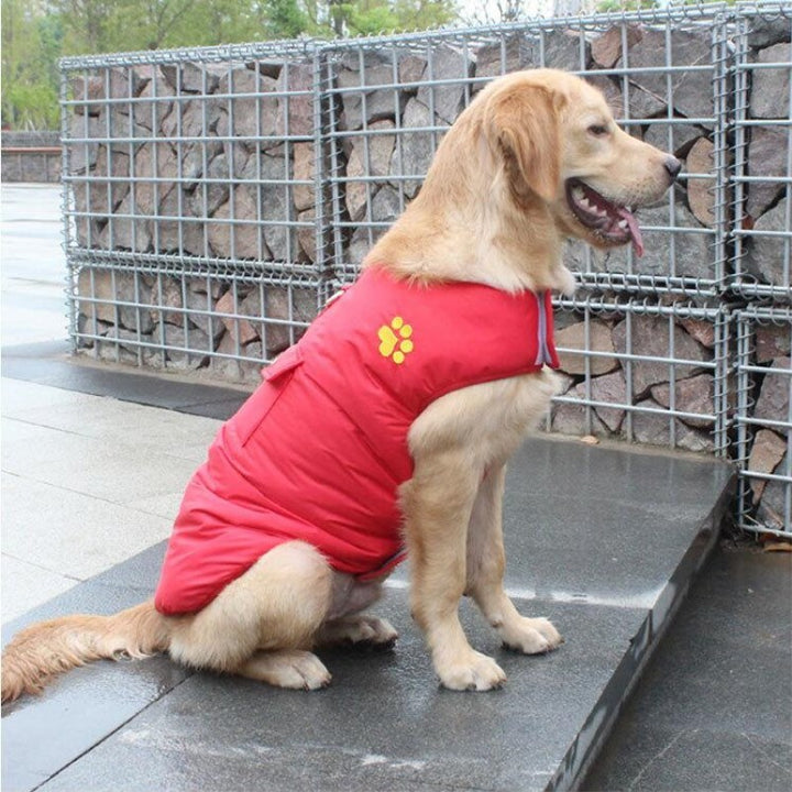 Winter Cotton Coat Pet Clothes