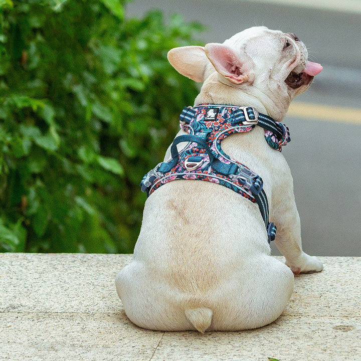 New Dog Leash Vest Type Walking Chain