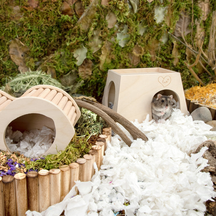 Hamster One Bedroom Hideout Climbing Toy