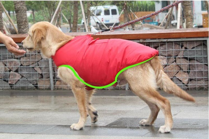 Winter Cotton Coat Pet Clothes