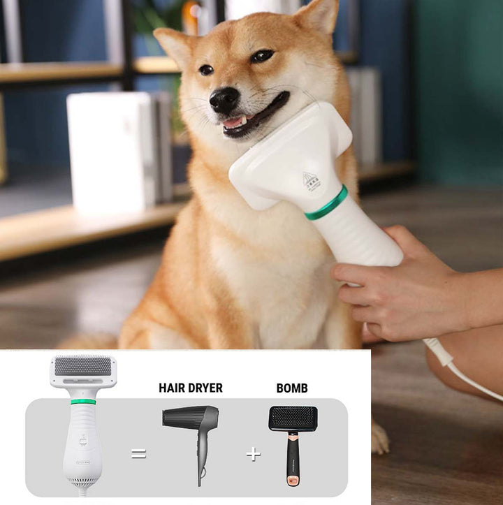 2 in 1 Pet Hair Dryer Comb