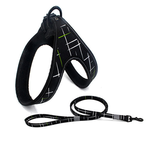 Colorful Dog Leash Dog Walking Rope