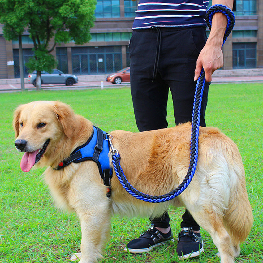 Dog leash chest strap
