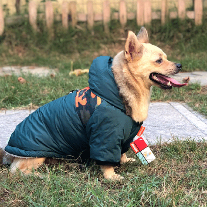 Pet Warm Coat