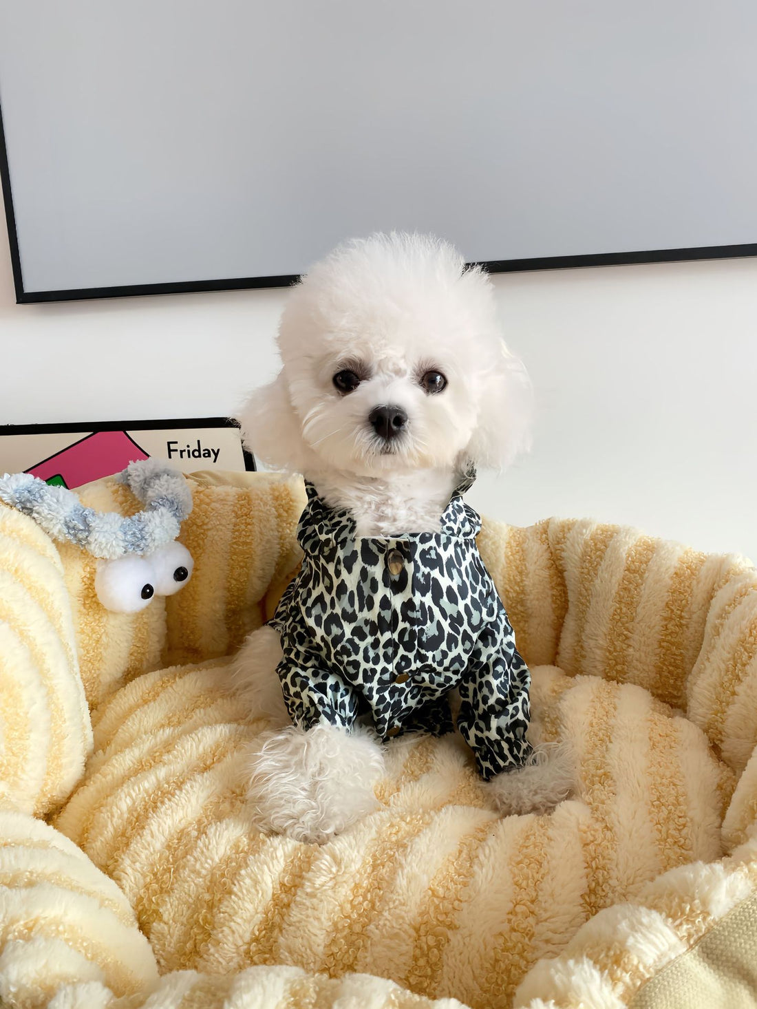 Pet Coat Leopard Print Trench Coat