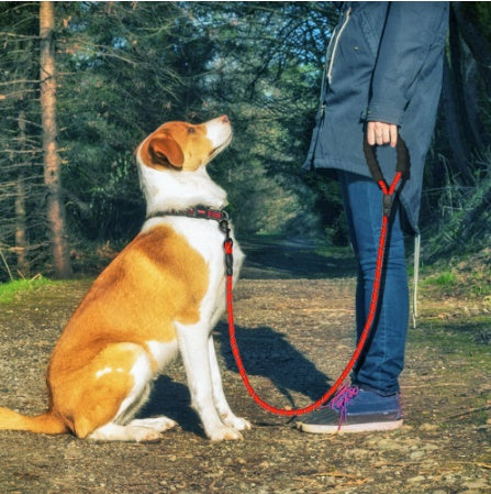 Reflective Nylon Pet Dog Leash