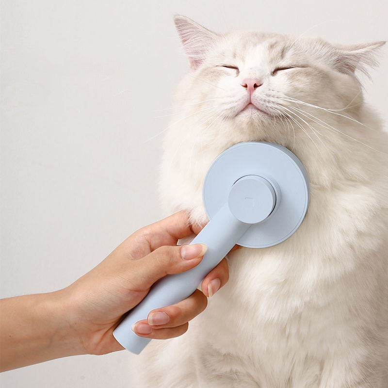 Pet Cat Comb Hair Brush