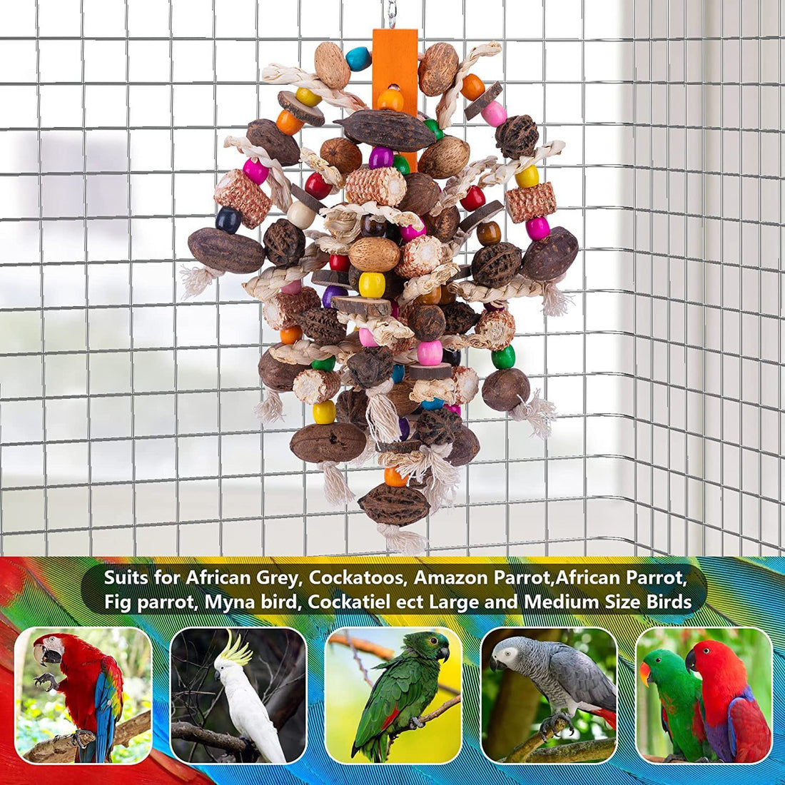 Parrots Nibbling On Toy Fruit Skewers