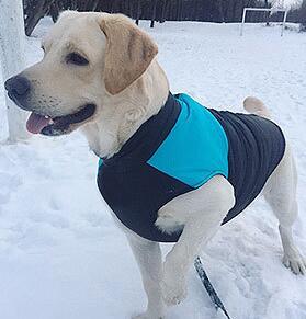 Autumn And Winter Pet Ski Wear