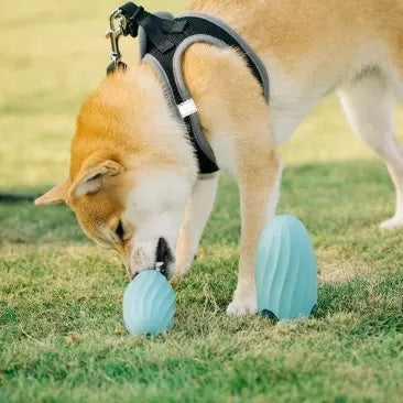 Food Ball Teasing Pet Educational Toy