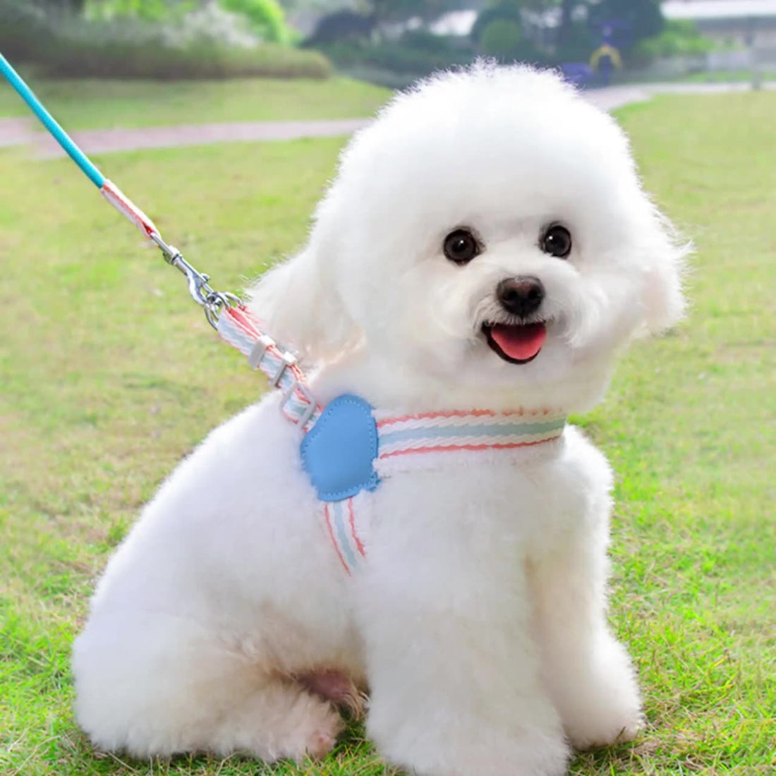 Dog Leash Breathable Pet Supplies