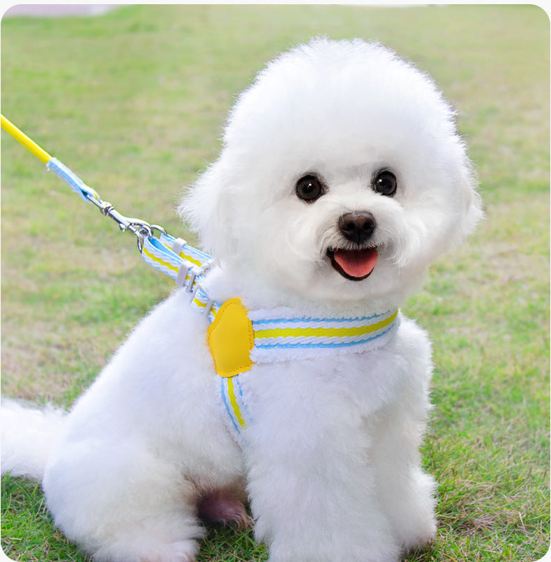 Dog Leash Breathable Pet Supplies