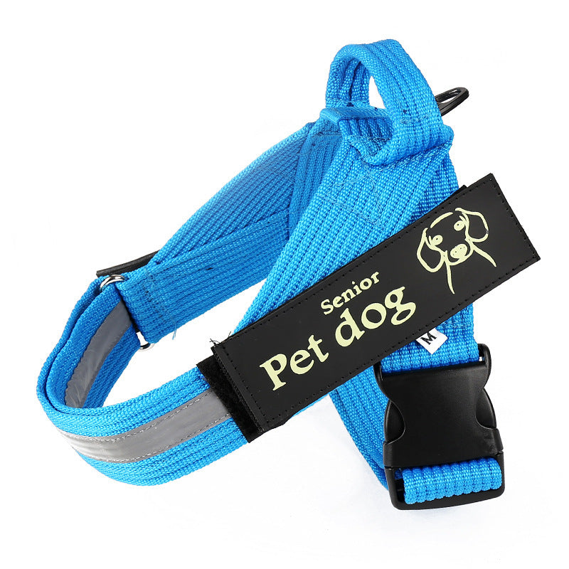 Dog Walking Chain Leash