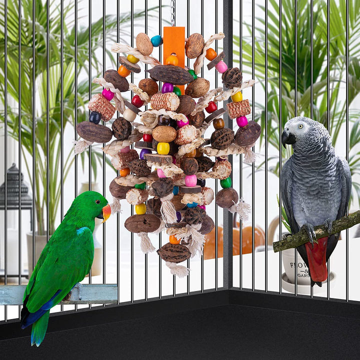 Parrots Nibbling On Toy Fruit Skewers