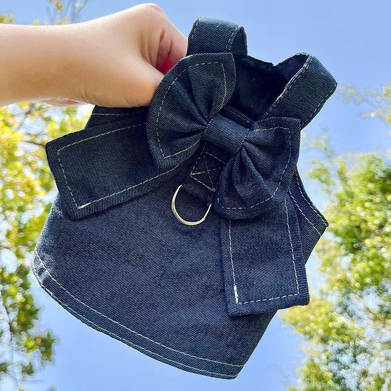 Pet Cat Walking Out Chest Back Leash