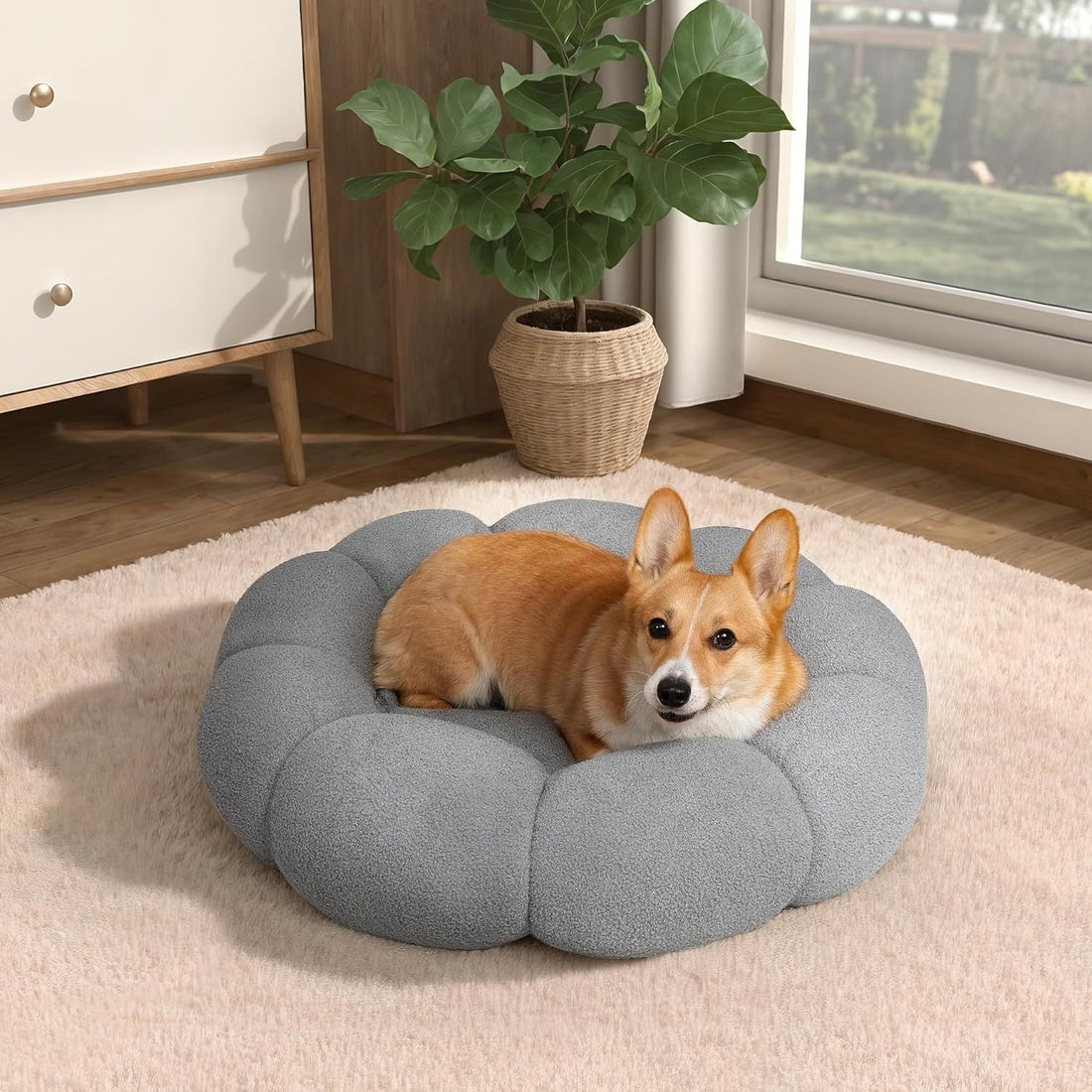 Calming Cat Beds For Indoor