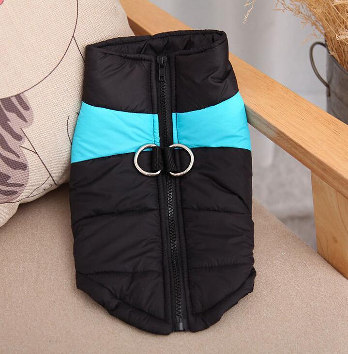 Autumn And Winter Pet Ski Wear