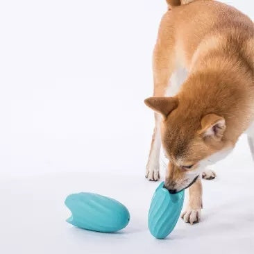 Food Ball Teasing Pet Educational Toy