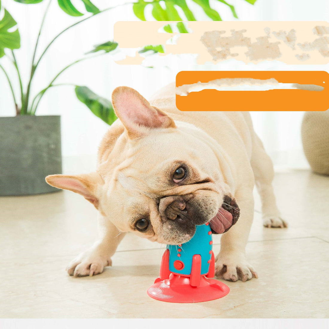Rocket Dog Toys Leaking Food