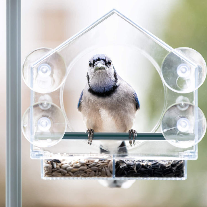 Hanging Transparent Acrylic Bird Feeder
