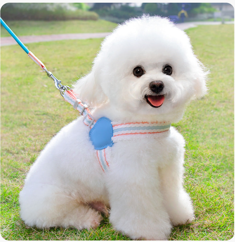 Dog Leash Breathable Pet Supplies