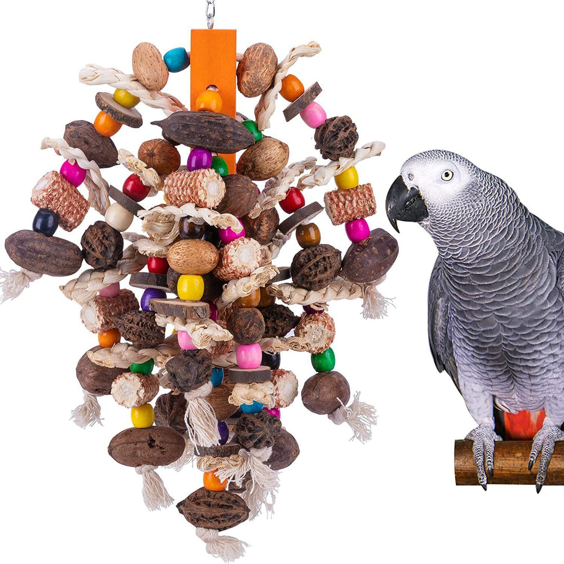 Parrots Nibbling On Toy Fruit Skewers