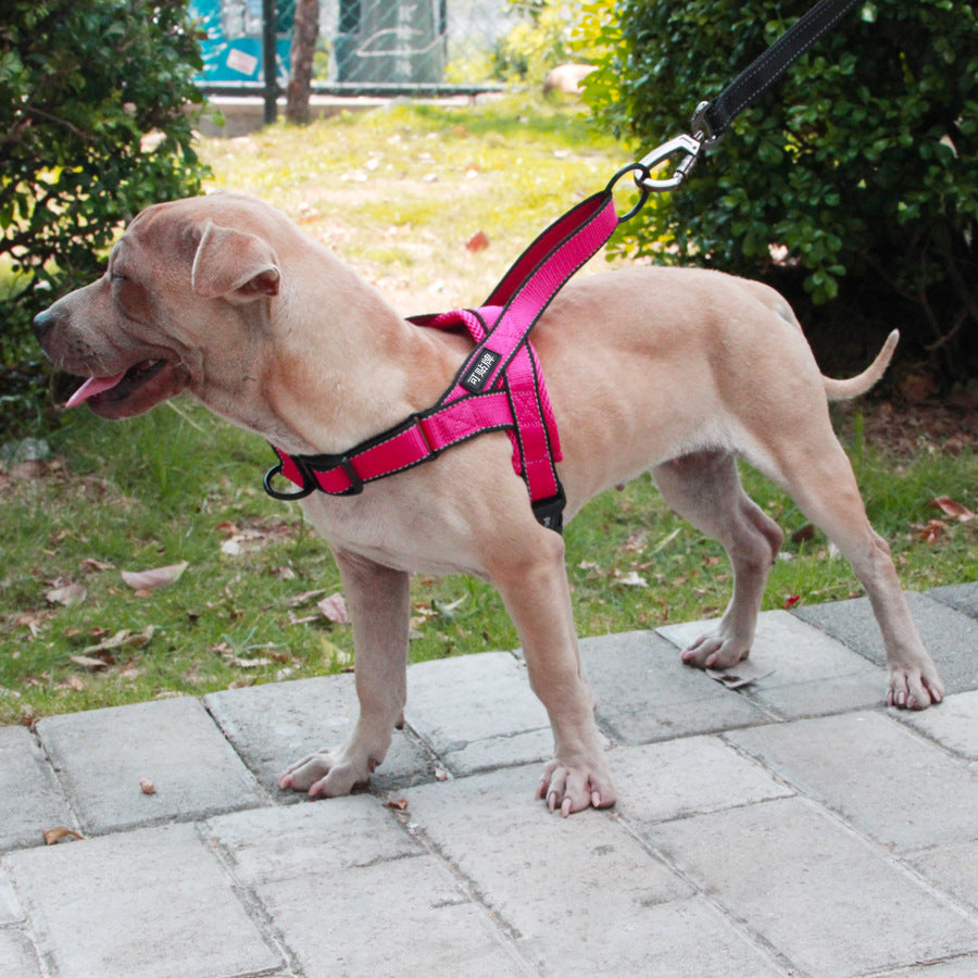 Dog Harness Leash Rope Set