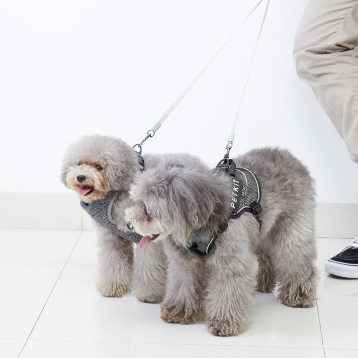 Dog Walking Leash Pet Supplies