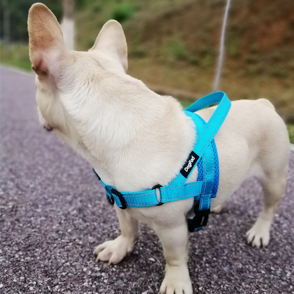 Dog Harness Leash Rope Set
